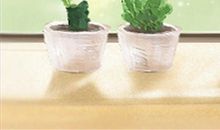 天蝎座爱情吉时吉日