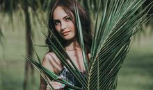 生肖羊的命格与运势