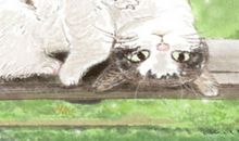 刷新世界观，B型血在熟悉的城市迷路？