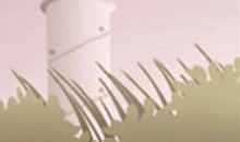 金牛座与双鱼座吵架的矛盾点