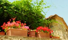 A微日记2016年11月狮子座运势