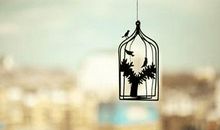 处女座失恋后的行为