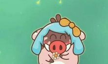 处女座的减肥口号