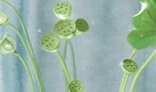 巨蟹座与处女座有什么共同点