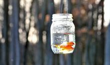 李云天一周星座运程（12.11-12.17）