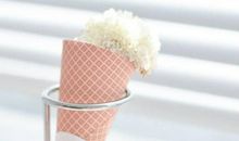 Alex天秤座一周运势（5.28-6.3）