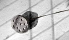 天蝎座如何让自己更发光？