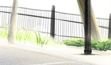 处女座喜欢什么花？处女座花语