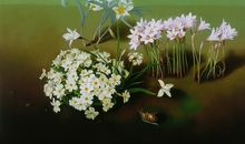 双鱼座本周运势1月27日-2月2日