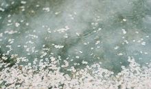 紫微精论2014甲午年运势解析：婚姻运