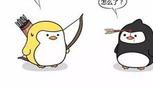 B型血喜欢的鲜花