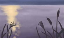 金牛座为什么害怕承诺