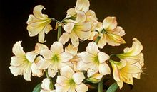 天蝎座本周运势1月27日-2月2日