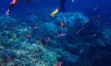 探秘B型血的解压方式