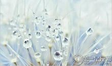 天气渐冷 寒露穿什么衣服