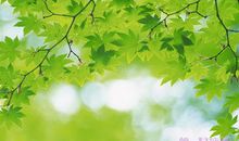 小乖麻2015年1月处女座运势