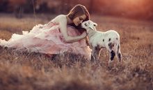 属羊人2019年财运如何