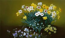 双子座本周运势1月27日-2月2日