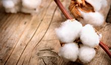 四大血型的专属减肥方法