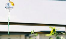 Geo老师射手座一周运势（1.28-2.3）