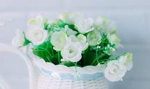 Alex金牛座一周运势（5.28-6.3）