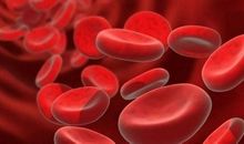 有关B型血的限制级秘密