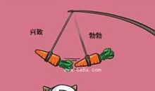 Ｂ型血最突出的几大特征