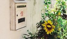 玛利亚2016年3月处女座运势