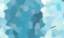 重阳节献给金牛妈妈靓汤