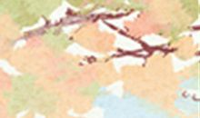 12星座中谁最胆小怕事