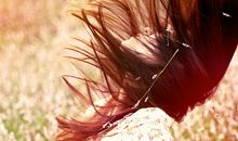 Alex摩羯座2017年4月运势