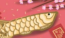 金牛男和金牛女的共同点