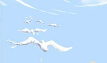 小乖麻2015年1月射手座运势