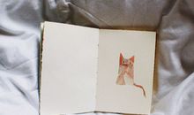 彼特每周星座运势(9.25-10.1)