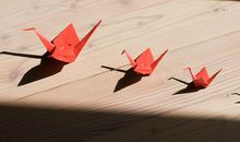 箬耶一周星座运势（9.25—10.1）