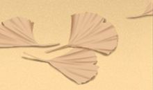 天蝎座在《甄嬛传》中扮演着谁？