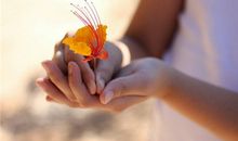 泓翔2018年十二生肖学业运势