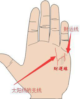 手相术，看看你是否富有6