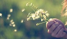 乔瑟夫2016年3月白羊座运势