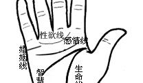 手相图解：手相看你是花心or闷骚