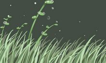 狮子座女生和金牛座男生的幸福机率