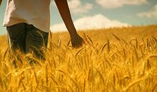 让人郁闷，只撩不追的星座男