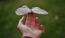 猫石对话每周运势(9.4-9.10)