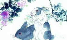 1963年是什么生肖年，1963年属什么生肖