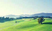 氧气占星2016年2月水瓶运势