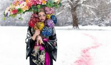 有关塔罗师的七层境界