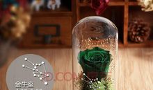 送给金牛座最佳的毕业礼物