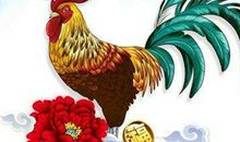 1969年是什么生肖年，1969年属什么生肖