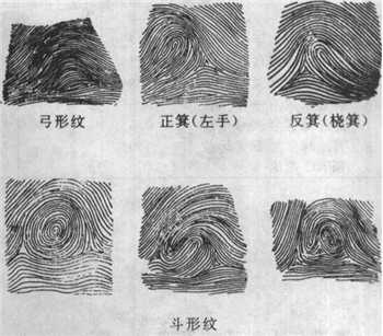 拇指揭示了您的性格秘密