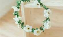 Alex巨蟹座一周运势（5.28-6.3）